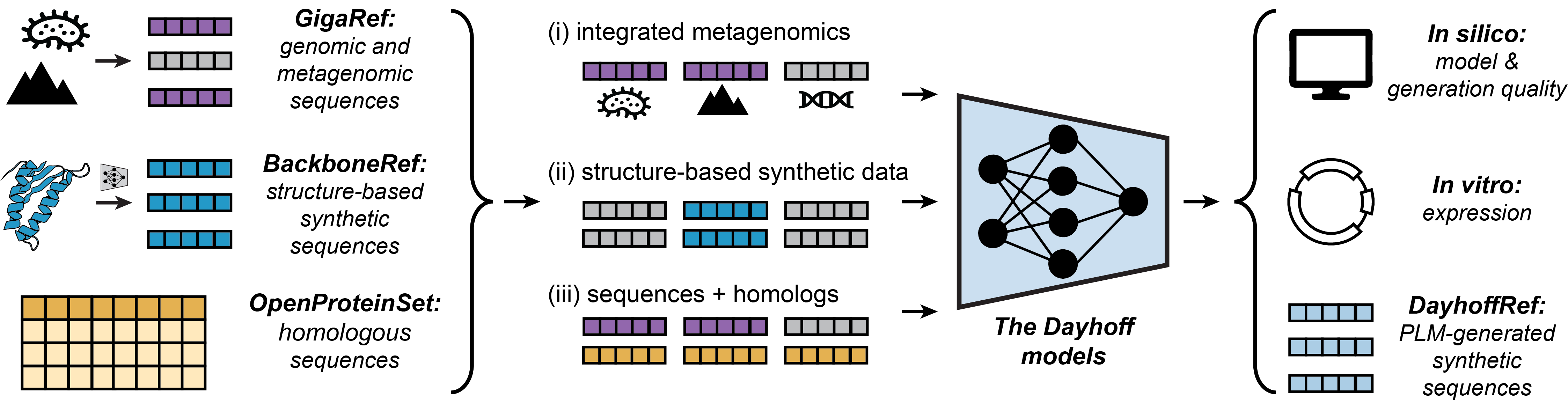 Microsoft Research — The Dayhoff Atlas: scaling sequence diversity improves protein design